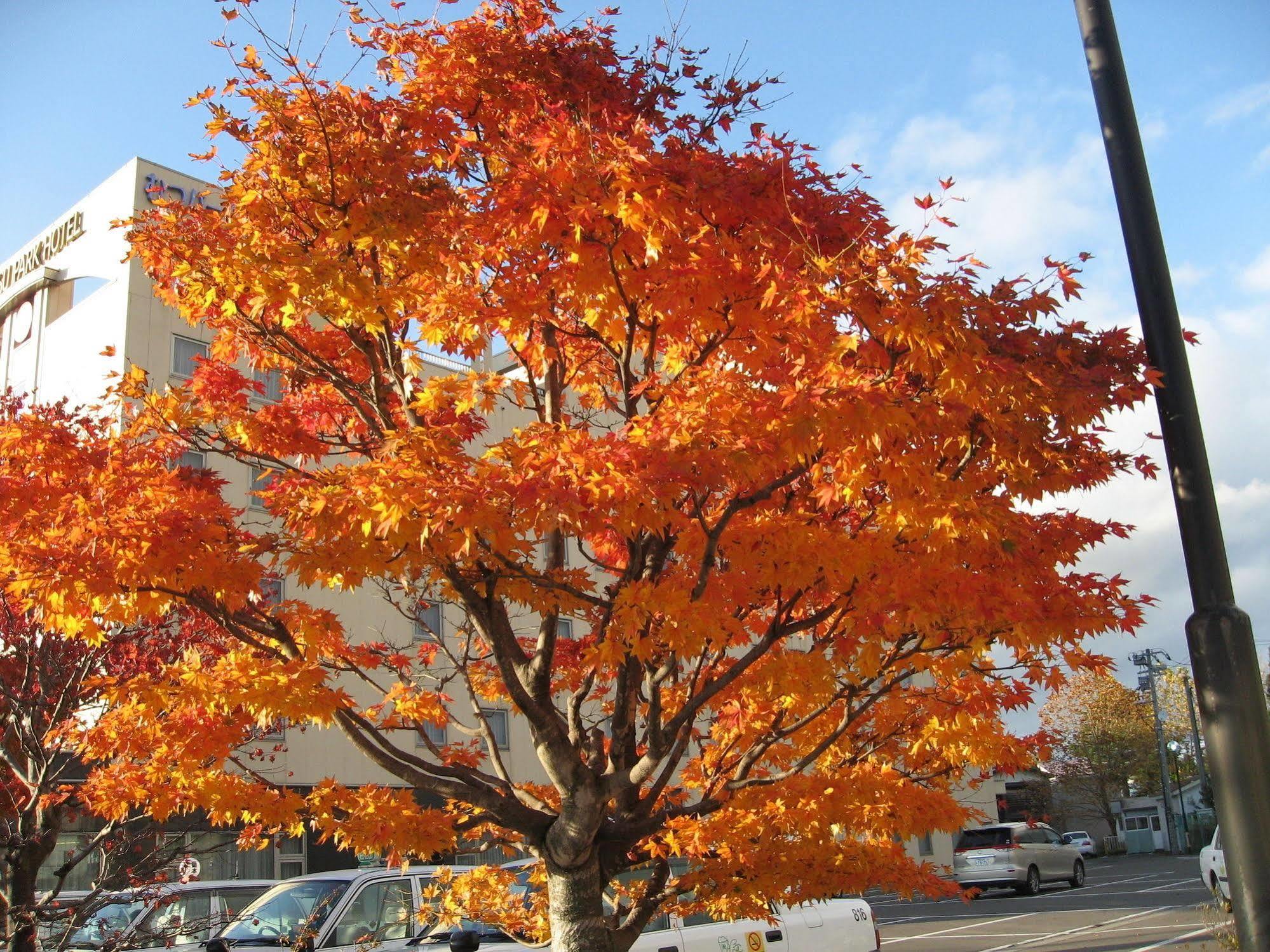 Mutsu Park Hotel Esterno foto